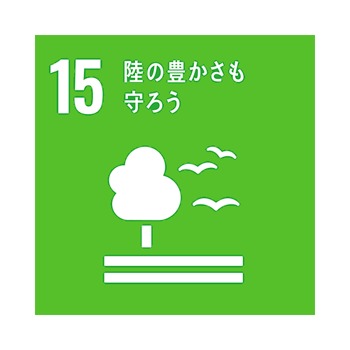 sdgs